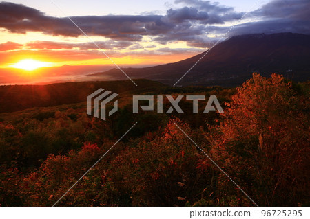 岩手縣八幡平市日出時的雲海 96725295