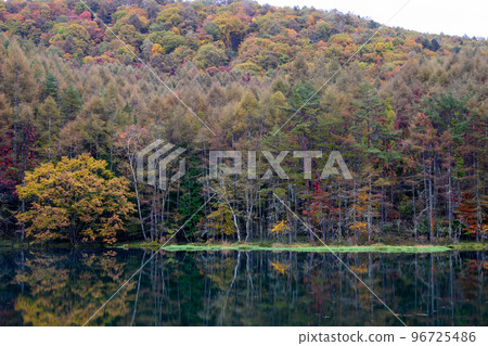 [Nagano Prefecture] Mishaka Pond Autumn Leaves 96725486