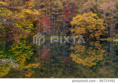 [長野縣] Mishaka Pond 紅葉 96725492