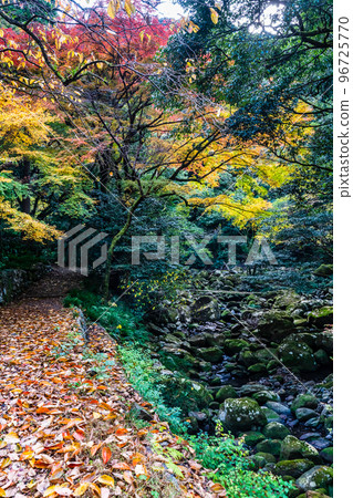 Autumn leaves of the 500 Arhats (Tomigawa Valley) at Daioji Temple [Isahaya City, Nagasaki Prefecture] 96725770