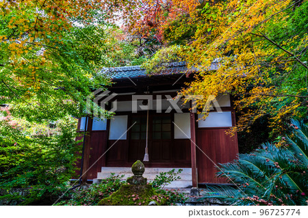 Autumn leaves of the 500 Arhats (Tomigawa Valley) at Daioji Temple [Isahaya City, Nagasaki Prefecture] 96725774