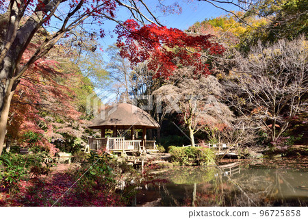 川崎市宮前區秋季東高根森林公園 川崎市宮前區秋季東高根森林公園 96725858