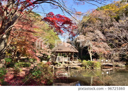 川崎市宮前區秋季東高根森林公園 96725860