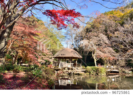 川崎市宮前區秋季東高根森林公園 川崎市宮前區秋季東高根森林公園 96725861