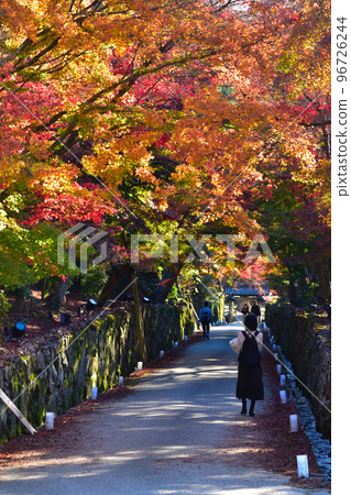 紅葉興正寺琴坂 96726244