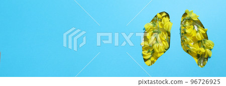 Concept of World lung day, lung problems and treatment Concept of World lung day, lung problems and treatment 96726925