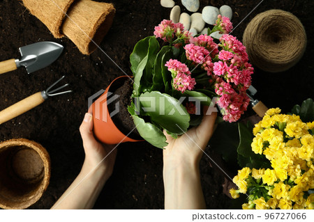 Concept of gardening on soil background, top view 96727066