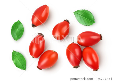 Rose hip isolated on a white background with full depth of field. Top view. Flat lay. 96727851