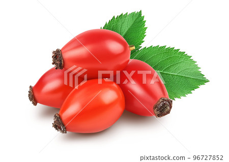 Rose hip isolated on a white background with full depth of field 96727852