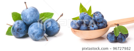 blackthorn berries in a wooden spoon with leaves isolated on white background 96727982
