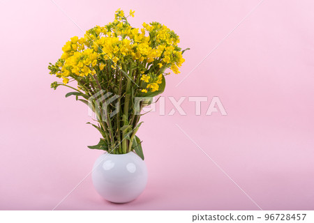 粉底花瓶中的油菜花 粉底花瓶中的油菜花 96728457