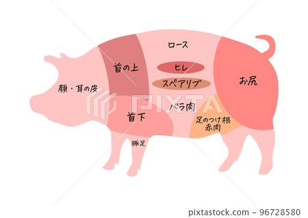 豬部位的插圖 (png) 豬部位的插圖 (png) 96728580