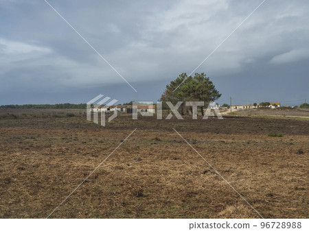 Ruined old barn, farm house, fields and green pastures with big pine trees near Odeceixe, Portugal. Sunny day, blue sky. 96728988