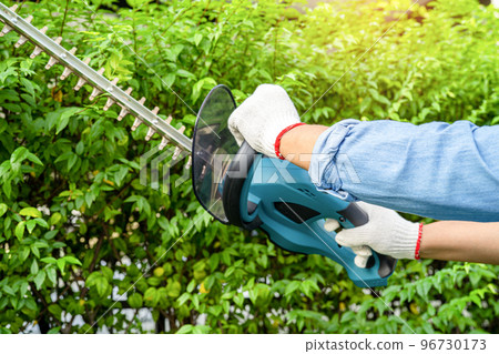 Gardener holding electric hedge trimmer to cut the treetop in garden. 96730173