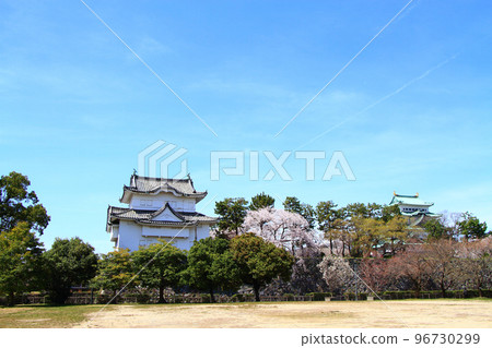 Scenery of cherry blossoms in full bloom and the southeast corner turret of Nagoya Castle Scenery of cherry blossoms in full bloom and the southeast corner turret of Nagoya Castle 96730299