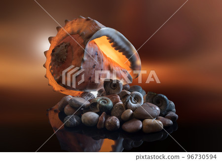 Still life of sea stones, shells and crab, on a beautiful background 96730594