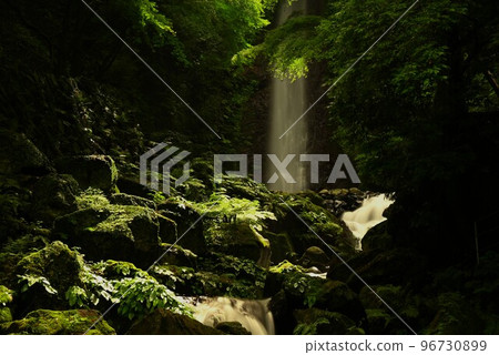 綠色楓樹和瀑布 綠色楓樹和瀑布 96730899