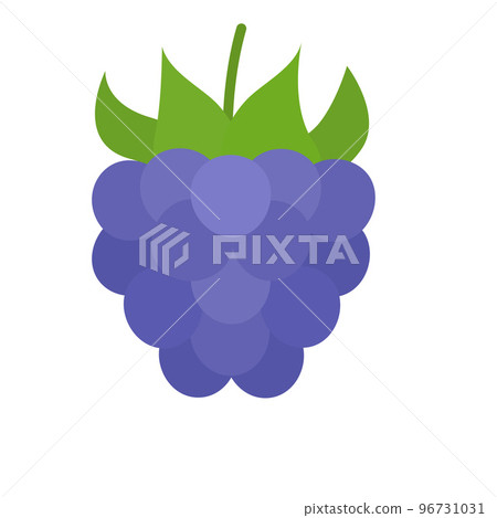 Purple blackberry berry icon. Raspberry. Vector illustration Purple blackberry berry icon. Raspberry. Vector illustration 96731031
