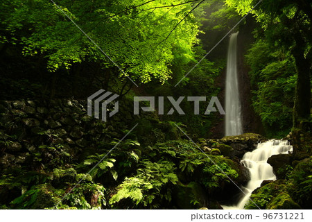 Green maple and waterfall 96731221