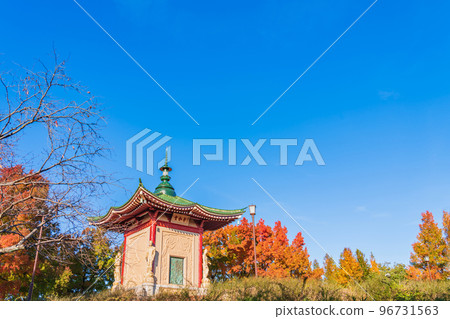 秋季和平公園<愛知縣名古屋市> 96731563