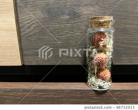 紅三葉草和滿天星植物標本室 96732013