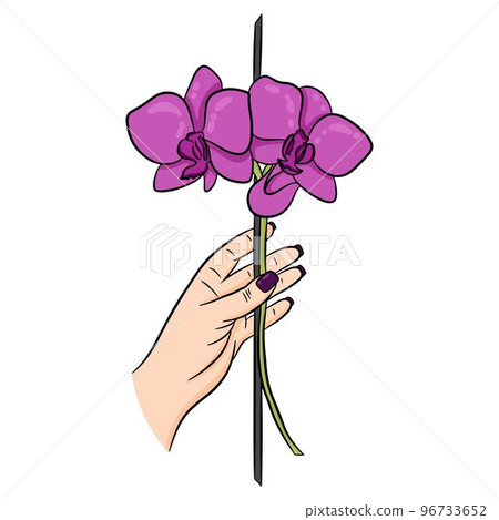 Pink flowering orchid in hand Pink flowering orchid in hand 96733652