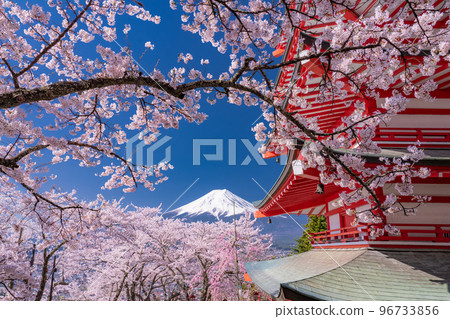 "Yamanashi Prefecture" Mt. Fuji, five-storied pagoda and cherry blossoms in full bloom, Arakurayama Sengen Park in spring 96733856