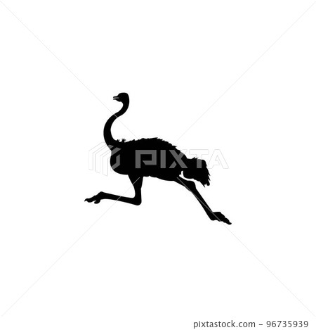 ostrich icon 96735939