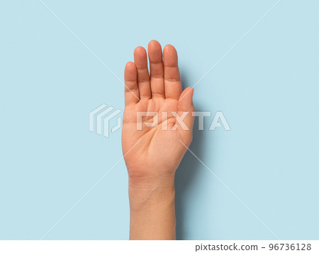 Empty hand palm of caucasian woman over pastel blue background. Open hand gesture close-up. Adult female person right hand macro. Body parts concept. 96736128