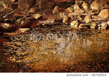 藍屋池塘 96736854