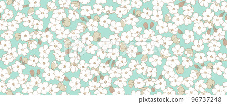 Cherry blossom seamless pattern hand drawing Cherry blossom seamless pattern hand drawing 96737248