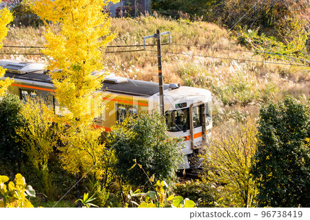 [高山本線]經過銀杏樹的本地火車 96738419