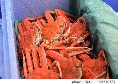 Snow crab Figure Face Material Background Snow crab Figure Face Material Background 96740475