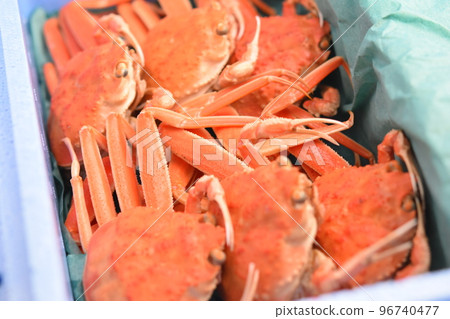 雪螃蟹形象面孔材料背景 雪螃蟹形象面孔材料背景 96740477