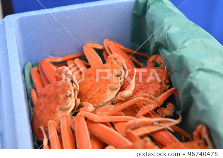 雪螃蟹形象面孔材料背景 96740478