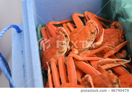 雪螃蟹形象面孔材料背景 雪螃蟹形象面孔材料背景 96740479