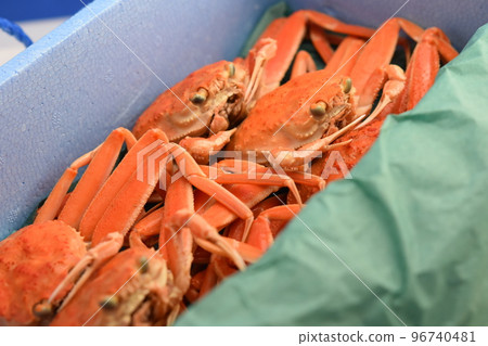 雪螃蟹形象面孔材料背景 96740481