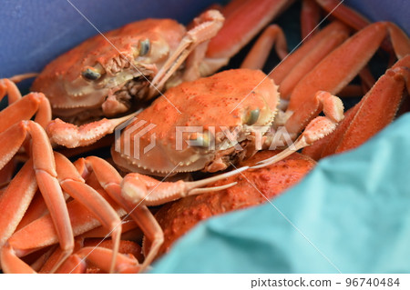 雪螃蟹形象面孔材料背景 雪螃蟹形象面孔材料背景 96740484