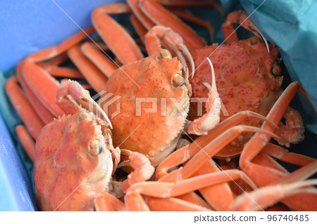 雪螃蟹形象面孔材料背景 雪螃蟹形象面孔材料背景 96740485