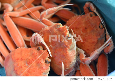 雪螃蟹形象面孔材料背景 96740486