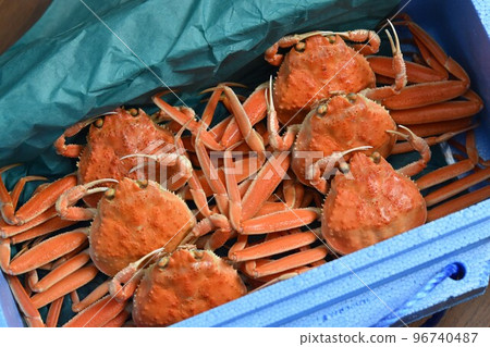 Snow crab Figure Face Material Background Snow crab Figure Face Material Background 96740487
