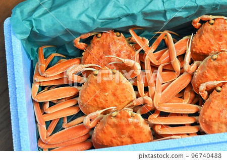 Snow crab Figure Face Material Background 96740488