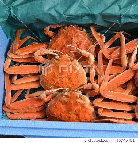 雪螃蟹形象面孔材料背景 96740491