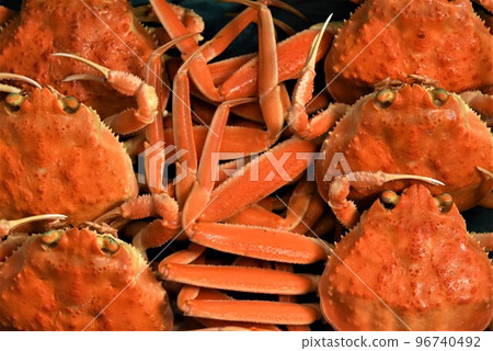 雪螃蟹形象面孔材料背景 雪螃蟹形象面孔材料背景 96740492