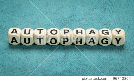 autophagy word in letter cubes 96740804