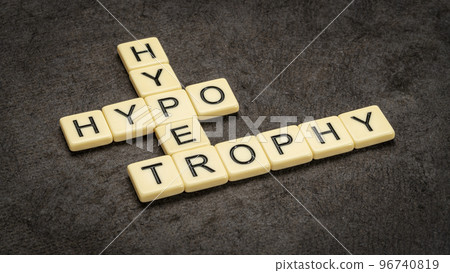 hypotrophy and hypertrophy crossword hypotrophy and hypertrophy crossword 96740819