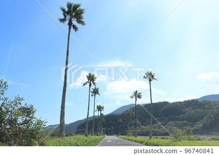 A tropical road lined with coconuts (Kuma City, Miyazaki Prefecture) A tropical road lined with coconuts (Kuma City, Miyazaki Prefecture) 96740841