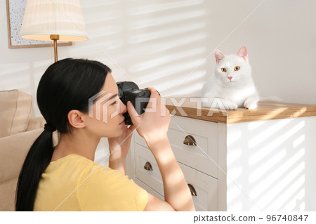 Professional animal photographer taking picture of beautiful white cat indoors Professional animal photographer taking picture of beautiful white cat indoors 96740847