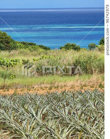 石垣島松田和海沖繩 96742978