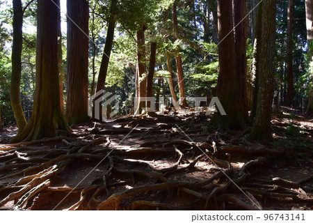 Mount Kurama 96743141